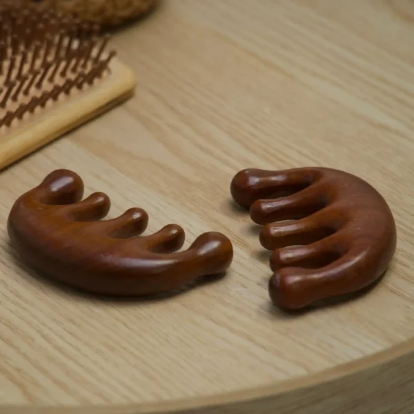 Houten Hoofdmassage Kammen (set van 2)