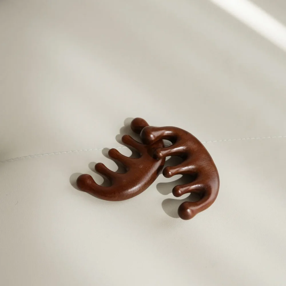 Houten Hoofdmassage Kammen (set van 2)
