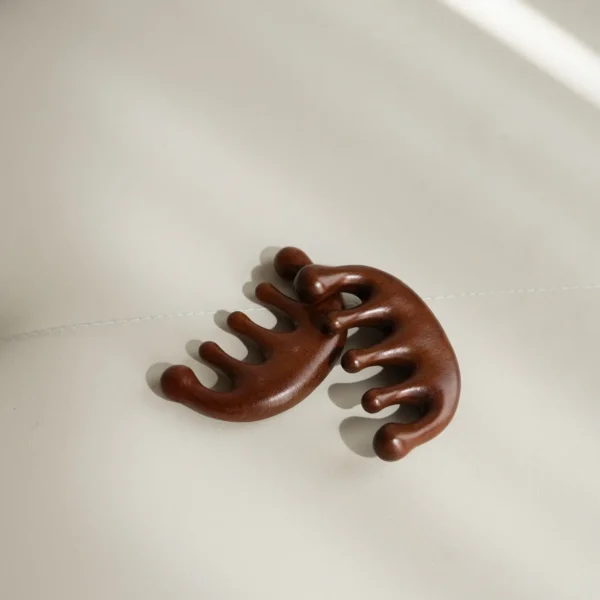 Houten Hoofdmassage Kammen (set van 2)